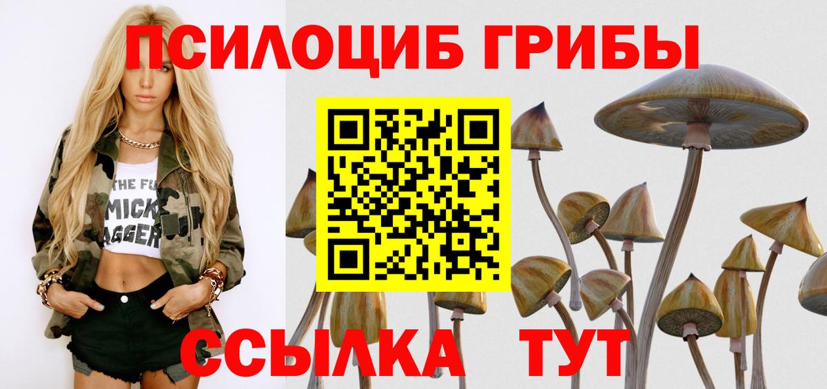 Борзя  Псилоцибиновые грибы Psilocybe  Псилоцибиновые грибы GOLDEN TEACHER  Вход с VPN 