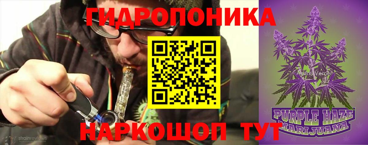 Канабис MAZAR Борзя